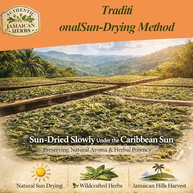 Jamaican Healing Garden Blood Detox Tea – 100% Wildcrafted Herbs for | Hand-Picked 4.33 oz (120g)