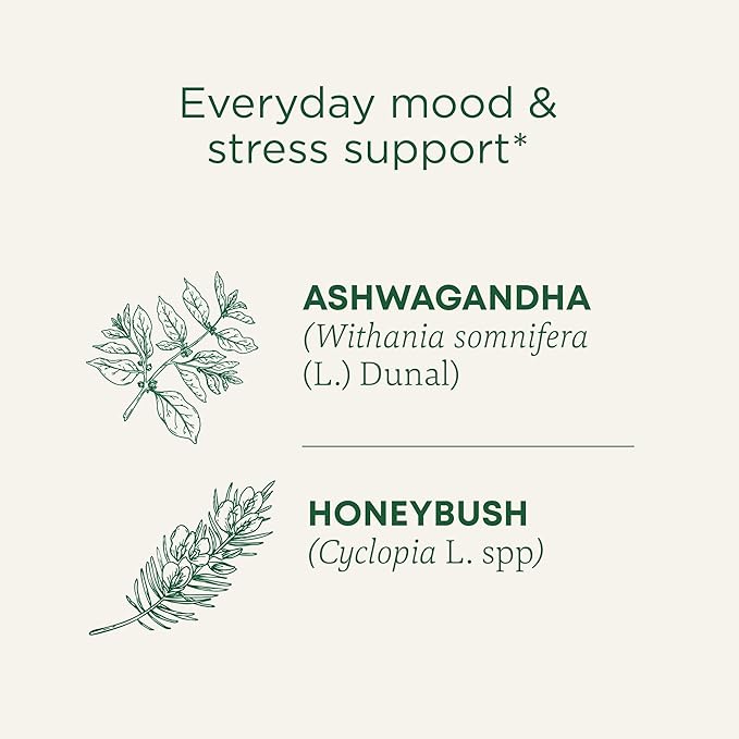 Traditional Medicinals Organic Stress Ease Calm with Adaptogens Ashwagandha &amp Honeybush - Promotes Relaxation - Kosher Non-GMO Caffeine-Free Compostable - 96 Tea Bags (6 Packs of 16)