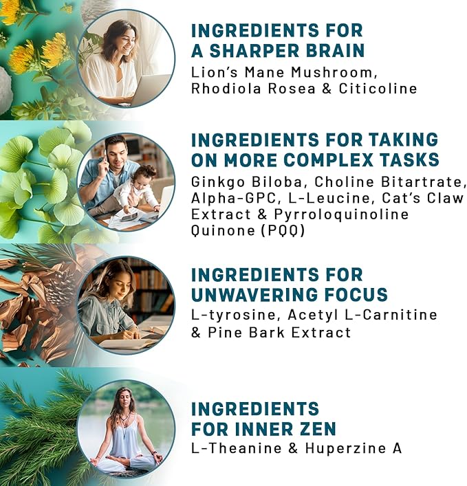 14-in-1 Lions Mane Supplement Capsules - Nootropic Brain Supplement with Ginkgo Biloba for Brain Support Memory and Focus - Alpha GPC L Theanine and Choline Supplements with 1300mg Per Serving - 2pk