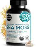 Atlantic Naturals Superfood Organic Irish Sea Moss Capsules - 120 Veggie Capsules | Wildcrafted Organic Sea Moss Supplement for Men &amp Women | Better Than Sea Moss Gel | Support Immunity &amp Skin
