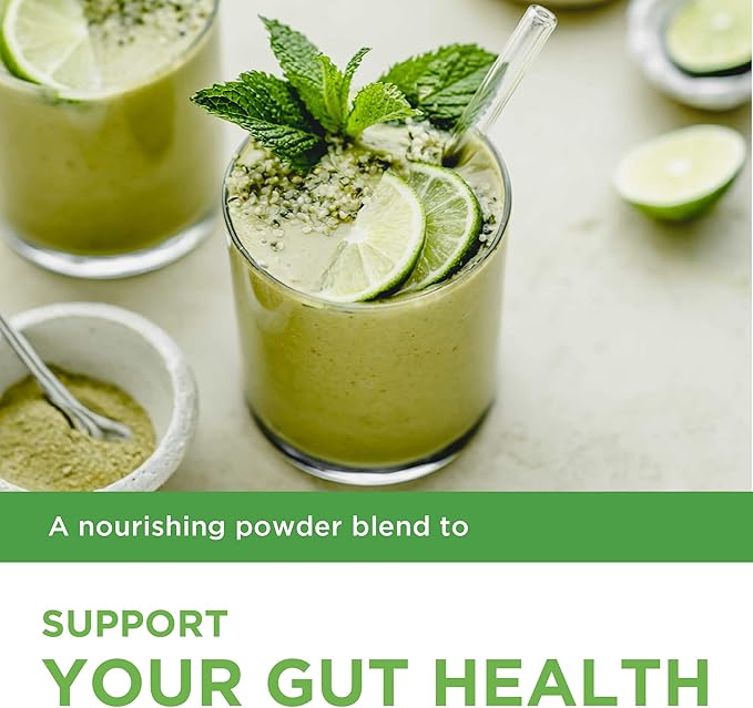 Laird Superfood Activate Prebiotic Daily Greens Powder Drink Supplement Himalayan Shilajit Powder and Functional Mushrooms Supports Gut Microbiome 4.2 Oz Bag Pack of 1