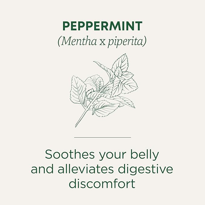 Traditional Medicinals Tea Organic Peppermint Soothes Your Belly Refreshing &amp Minty 96 Tea Bags (6 Pack)