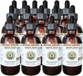 Hawaii Pharm Oregon Grape Alcohol-Free Liquid Extract Oregon Grape (Mahonia aquifolium) Dried Root Glycerite Natural Herbal Supplement USA 15x4 fl.oz