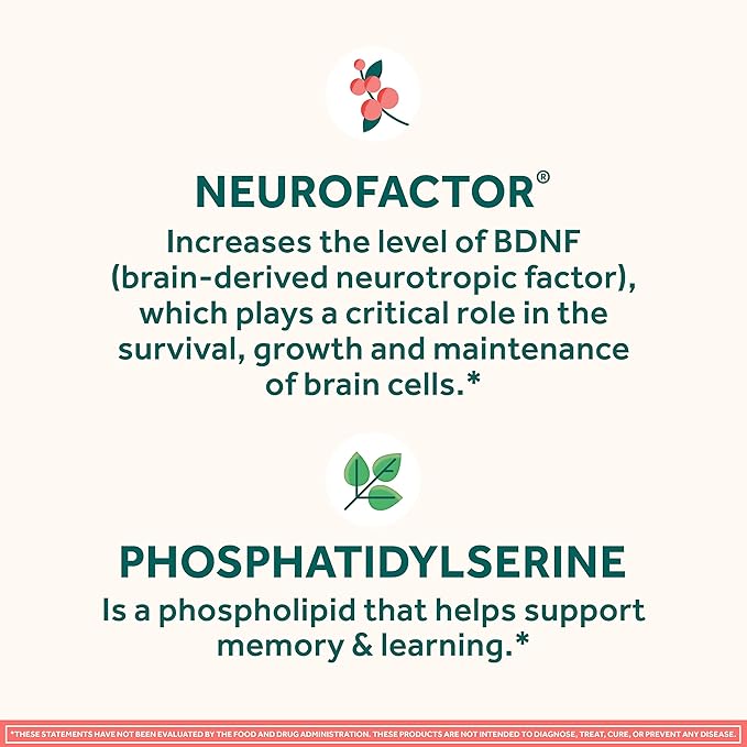 NEURIVA Original Brain Supplement for Memory Focus &amp Concentration + Learning &amp Accuracy with Clinically Tested Nootropics Phosphatidylserine and Neurofactor Strawberry Flavor 50 Gummies