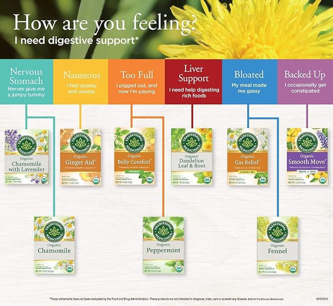 Traditional Medicinals Organic Ginger Aid Herbal Tea Promotes Healthy Digestion (Pack of 3) - 48 Tea Bags Total