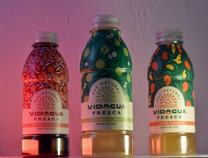 Vidagua Agua Fresca Cucumber Lemon Ready-to-Drink Fruit Beverage 16.9 fl oz Bottles Pack of 12