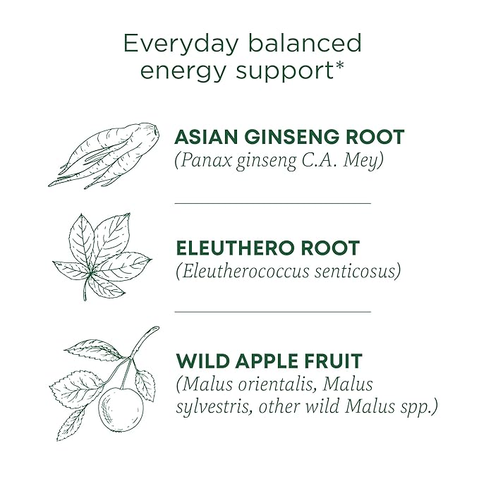 Traditional Medicinals Tea Organic Stress Ease Focus with Adaptogens Everyday Balanced Energy Ginseng Wild Apple Mint 96 Tea Bags