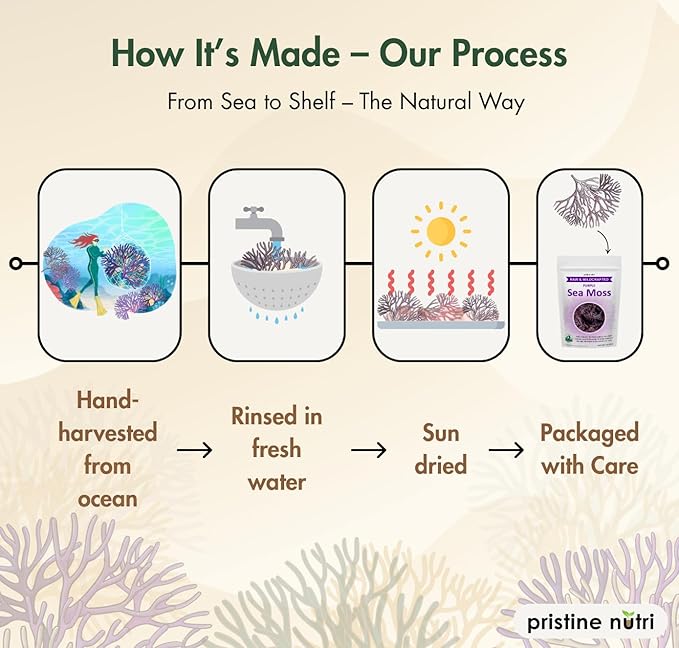 Sea Moss | Raw Wildcrafted Irish Seamoss from St. Lucia | Golden Sun-Dried | Makes 160+ oz of Sea Moss Gel | 100% Natural Vegan Non-GMO | True Mineral-Rich Superfood | 8 oz bulk package