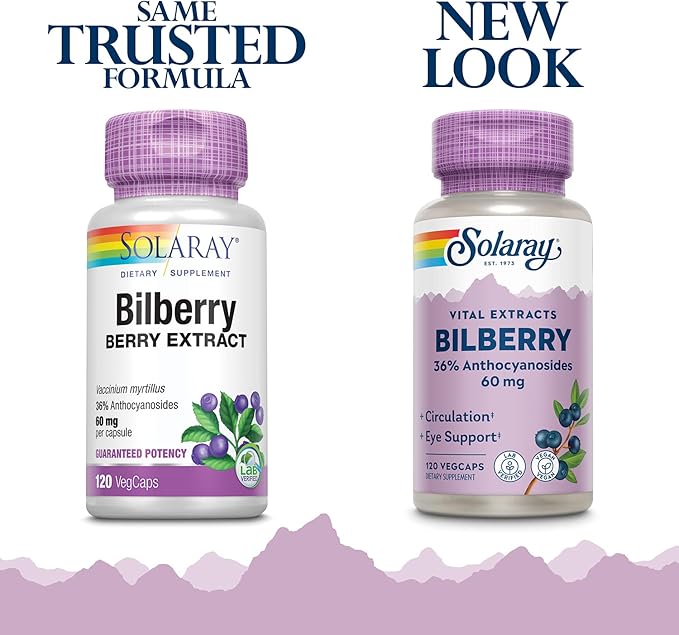 SOLARAY Bilberry Berry Extract 60 mg Per Capsule Powerful Antioxidant Guaranteed Potency for Healthy Vision &amp Circulation Support 120 VegCaps