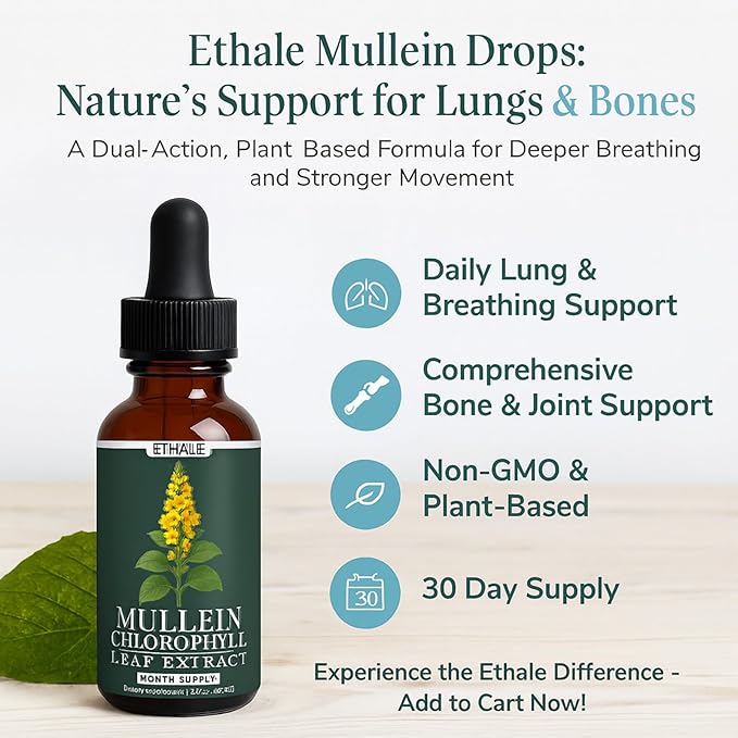 ETHALE Mullein Drops for Lungs – Natural Herbal Supplement with Mullein Leaf &amp Chlorophyll – Daily Lung and Breathing Support – 30 Day Supply Non-GMO Plant-Based Formula (2)