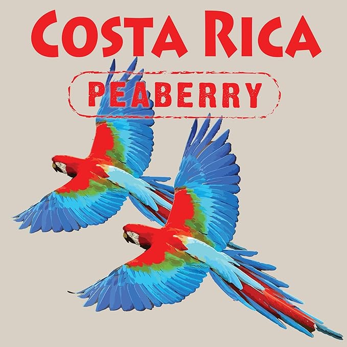 Costa Rica Peaberry| Whole Bean Coffee by Aroma Ridge | 16oz Medium Roast Gourmet Coffee Beans | Full Bodied Roasted Coffee Beans With Fruity Floral Notes