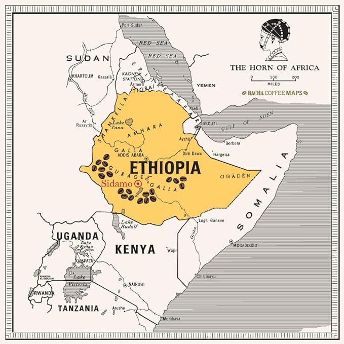 Bacha Coffee | Yirgacheffe Decaf Ethiopia Single Origin Medium Dark Roast 100% Arabica Specialty Coffee 12 Coffee Drip Bags Gift Box