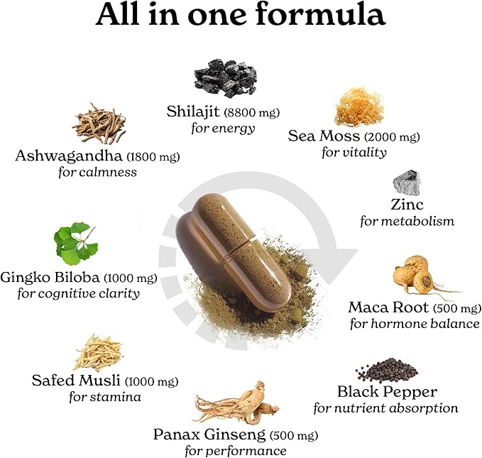 8800mg Shilajit Maca Root Ginkgo Biloba Sea Moss Ashwagandha Panax Ginseng Safed Musli &amp Zinc| Boost Stamina &amp Energy 120 Capsules| 95 + minerals| All in One Herbal Supplement for Men &