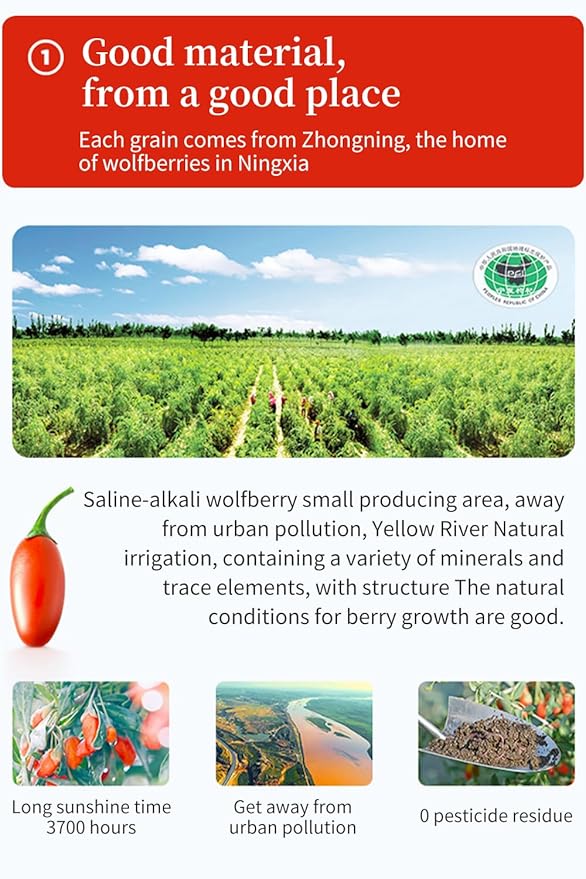 Goji Berries Fruit Puree Raw Liquid Drink (Wolfberries Juice) 100% pure juice Undiluted -（15ml*20 PCS）No Added Sugar wolfberry tea goji puree goji juice 枸杞原浆 (Wolfberries)