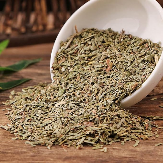Platycladus Orientalis Leaf Arborvitae Leaf (250g(8.82oz))