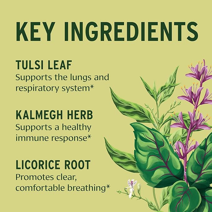 Banyan Botanicals Organic Immune Strong – Systemic Defense &amp Cellular Fortification – with Turmeric Tulsi &amp Ashwagandha for Year-Round Immune Support – 90 Tablets – USDA Organic
