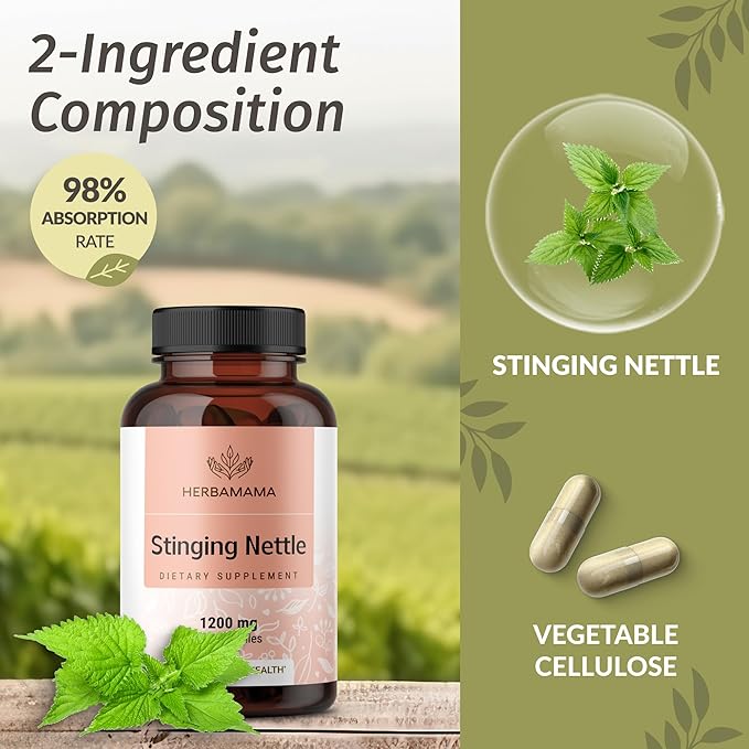 HERBAMAMA Stinging Nettle Capsules - 1200mg Stinging Nettle Root Extract for Urinary Tract Support - Vegan Non-GMO Urtica Dioica Supplement (Pack of 2)