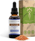 Secrets of the Tribe Muira Puama and Catuaba Alcohol-Free Liquid Extract (Ptychopetalum Olacoides and Erythroxylum Catuaba) Dried Bark Tincture Supplement (2 FL OZ)