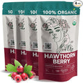 Organic Hawthorn Berry Tea (16oz.) 4 PACK - Hawthorne Berries for Herbal Tea Tinctures Recipes - Wild Crop - European Origin