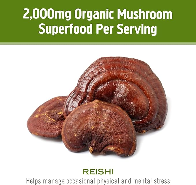 OM MUSHROOM SUPERFOOD Reishi Organic Mushroom Powder 3.5 Ounce 50 Servings Adaptogen Stress &amp Immune Support Superfood Mushroom Supplement