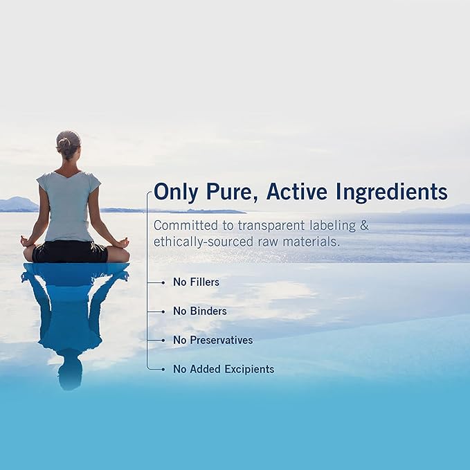 Metabolic Maintenance The Big One - Once Daily Iron-Free Multivitamin Mineral Supplement - Folate B Vitamins Biotin Antioxidants + Vitamin K Immune Support Nutrients Vitamin A + C (90 Capsules)