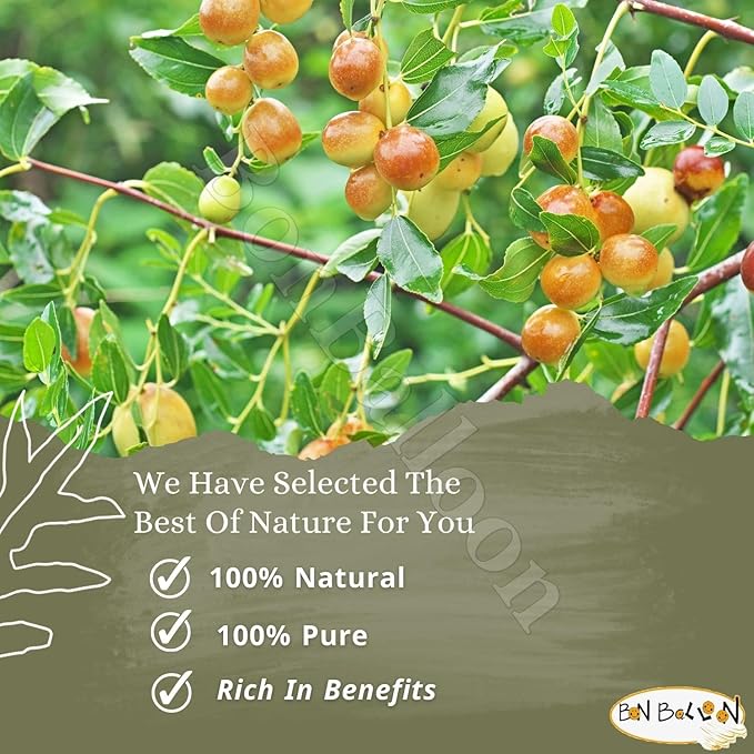 Wholesale Seder Sidr Dried Broken Leaves Leaf (Lote Tree Jujube Ziziphus Spina Christi Christ Golchin Lotus) Natural Herbs For Hair And Care Body No Preservatives Non Gmo Halal Kosher (8.82oz /250g)