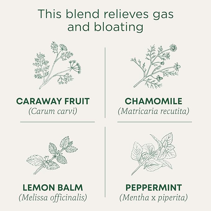 Traditional Medicinals Organic Gas Relief Digestive Tea (Pack of 6) - Relieves Gas &amp Bloating- 96 Tea Bags Total