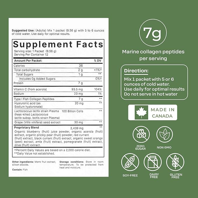 Renéra - Collagen Phyto Powder with Marine Collagen Peptides &amp Postbiotic Clinically Studied Ingredients for Healthy Skin Hair Nails and Immunity Healthy Aging Support* - 12 Packets