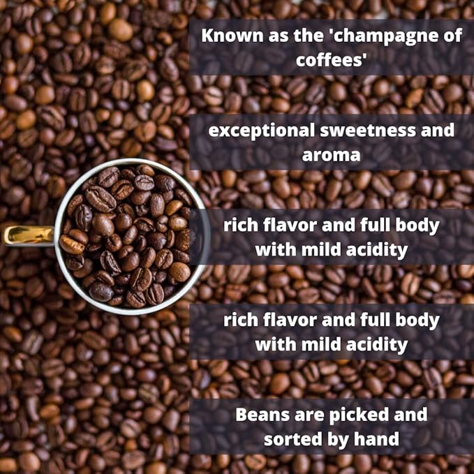 Coffee Traders 100% Jamaica Blue Mountain Coffee Beans (16oz)
