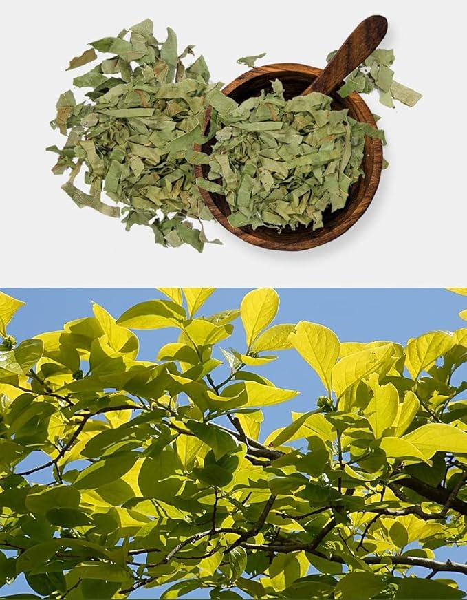 Organic Natural Pure Persimmon Leaf Extract Powder -10.58 Ounce (300g)