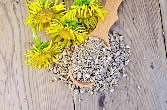 Health Embassy Oman Root | Elecampane Root | Inula Helenium | Herbal Tea (50g)