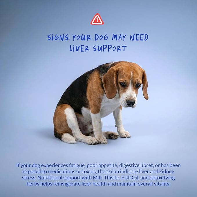 Milk Thistle for Dogs - 120 Chewable Tablets - Silymarin - Liver and Kidney Support with EPA &amp DHA - Detox - Liver Supplement for Dogs with Choline and L-Arginine (Milk Thistle Tablet)