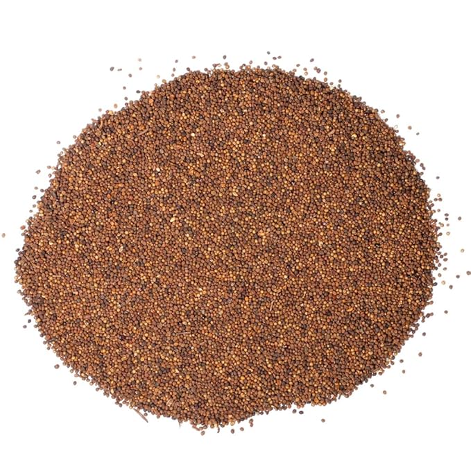 Hapsmiley Dodder Seed (Cuscuta Chinensis/Tu Si Zi/菟丝子) Dried Bulk Herbs – 3.5 oz (100g)