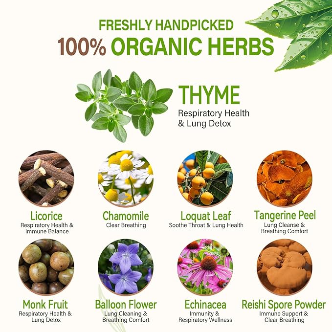 HerbOLITHIC Thyme Tea Bags for Respiratory Function Support &amp Lung Cleaning 9-in-1 Herbal Tea with Licorice Echinacea Reishi Spore Powder Extract for Immune Support 30 Teabags - Té de Tomillo