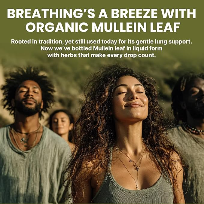 5-in-1 Mullein Drops for Lungs and Bronchial - Respiratory Lung Health Support with Mullen Leaf Extract for Lungs - Mullein Tincture with Elderberry Echinacea and Ginger Root (60 Servings) (2-pack)