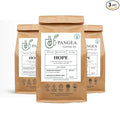 Pangea Coffee Hope Light Roast 3-Pack – Bright Smooth Low Acid Coffees – Organic Allergen-Free Specialty Grade Arabica Fresh Roasted Whole Bean 3 x 10oz Bags