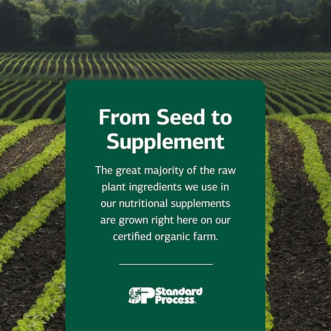 Standard Process Betafood - Supports Digestion &amp Intestinal Function with Beets - Aids a Healthy Heart &amp Liver Health - Gluten-Free Non-Dairy &amp Non-Soy - 90 Tablets (90 Servings)
