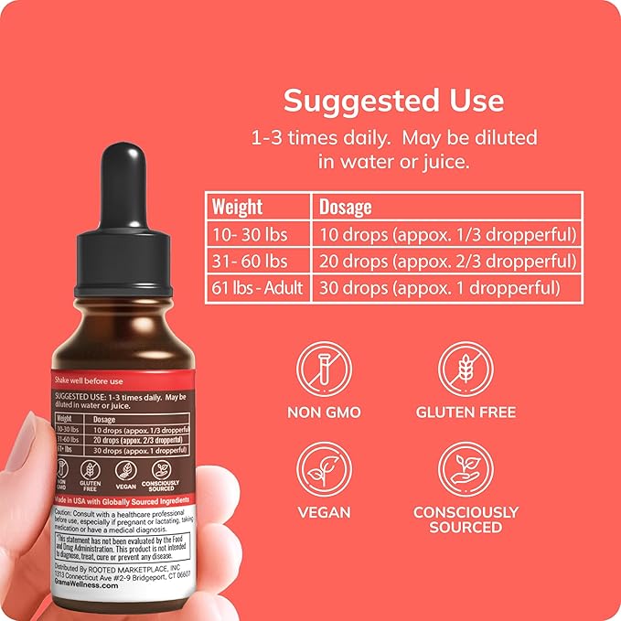 Grama Wellness - Focus &amp Attention Organic Kids Brain Vitamins &amp Cognitive Support Drops ADHD Supplement with Ginkgo Biloba Rhodiola Gotu Kola Licorice Root | Made in USA – 30 Servings