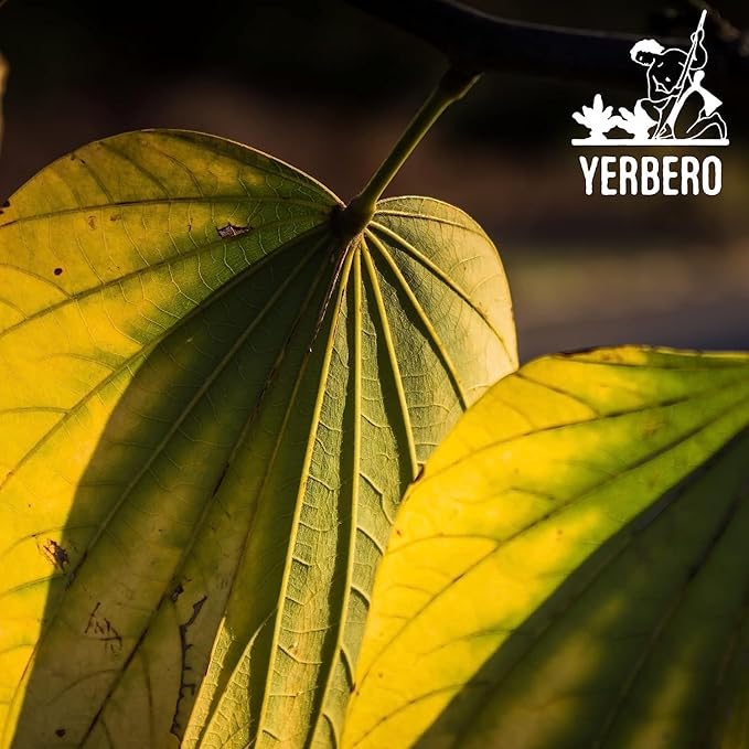 Yerbero - Te Herbal Pata De Vaca Bulk Sizes 8 oz (225gr) Herbal Tea (Cow's Foot Leaves - Bauhinia Forficata) Stand Up Resealable Bag Crafted By Nature100% All Natural Fresh Tea Tea non-GMO Gluten-Fr