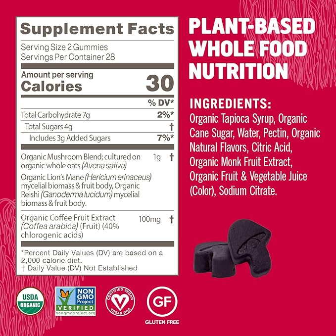 OM MUSHROOM SUPERFOOD Brain Fuel+ Gummies – USA Grown Organic Lion’s Mane – Supports Memory Focus &amp Cognitive Function – Raspberry Flavor – 28 Servings 56 Count.