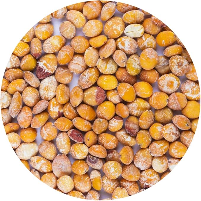Organic Natural Pure Ginko Nut Dried Bulk Herbs -10.58 Ounce (300g)