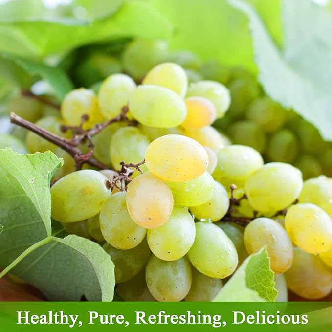 De La Rosa Organic White Grape Juice Kosher Non-GMO &amp Gluten Free Austrian White Grape Juice No Preservatives or Sulfites No Water Added 25.4 Oz Glass Bottle (Pack of 3)