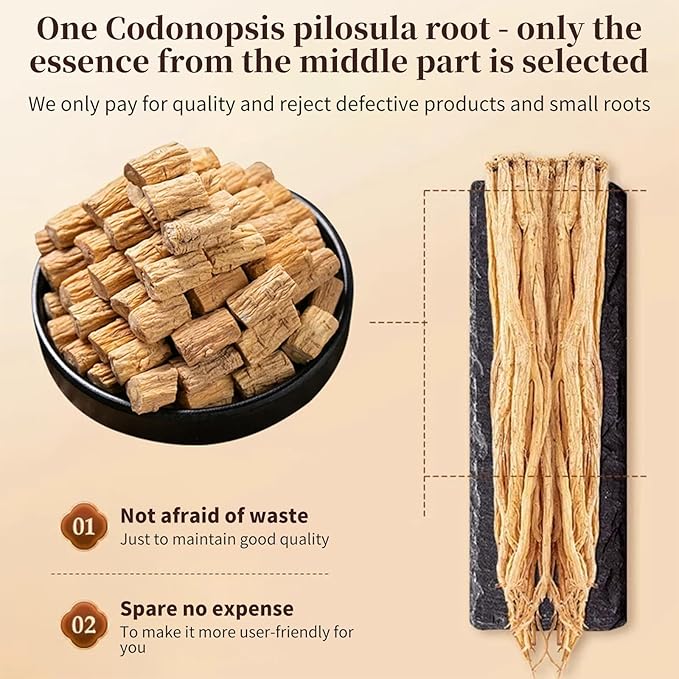 Baihuatang Natural Dried Codonopsis Root Tea 党参 Premium Grade Dang Shen (Codonopsis Pilosulae) | 3-Year Grown Hand-Picked Uniform Size | 200g (7.05oz) Bulk Herbs | No Additives Sulfur-Free