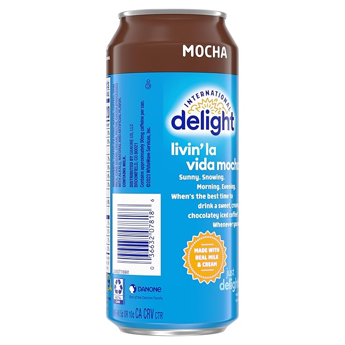 International Delight Iced Coffee Mocha Grab and Go Coffee Drinks Made with Real Milk and Cream 15 FL OZ Can 12 Count