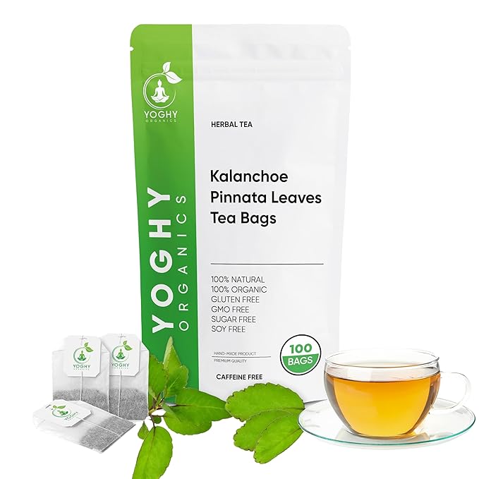 Kalanchoe Pinnata Leaves Tea Bags 50 Tea Bags Healthy Organic Leaves Herbal Tea