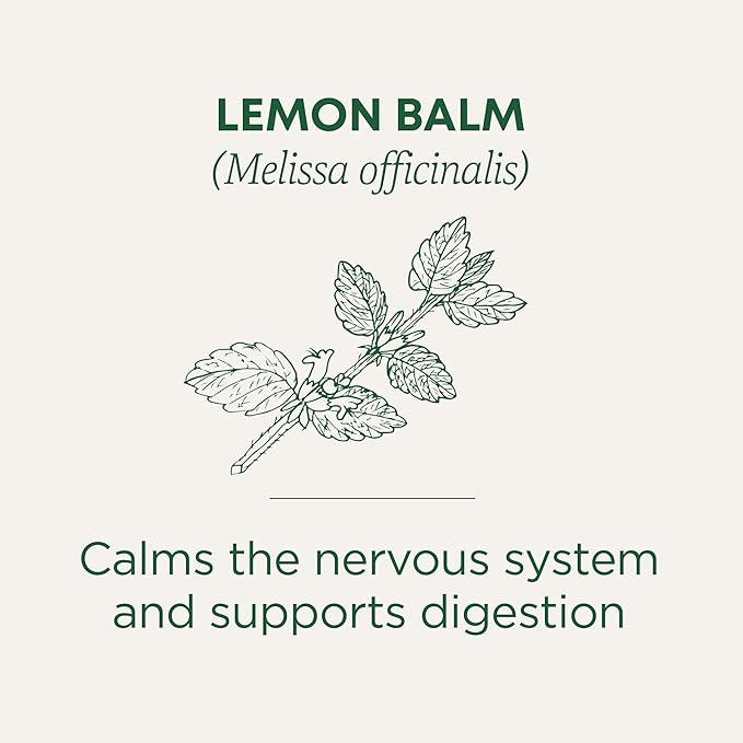 Herb Tea 95% organic Lemon Balm  16 bag (pack of 6 ) ( Value Bulk Multi-pack)