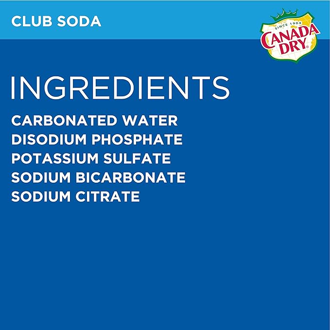 Canada Dry Club Soda 1 L bottle (pack of 12)