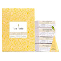 Tea Forte White Ginger Pear Premium Caffeinated White Tea Blend Event Box Bulk Pack 40 Count 10 per tray Individually Wrapped Handcrafted Pyramid Infusers