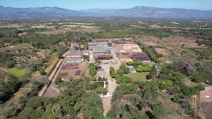 Tesoros Del Pais Green Unroasted Coffee Beans Ahuachapan El Salvador Single Estate High Elevation (Honey washed 5 lb)