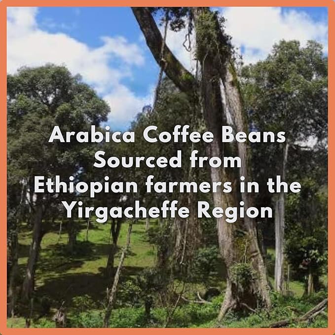 Café Grumpy Ethiopia Yirgacheffe Single Origin Whole Coffee Beans 12 oz Bag Farm to Table Medium Roast French Press Pour Over Cold Brew Drip